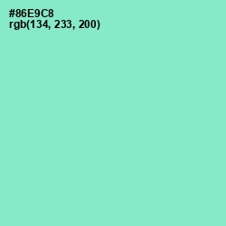 #86E9C8 - Riptide Color Image