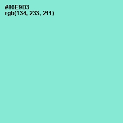 #86E9D3 - Riptide Color Image