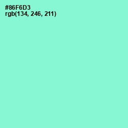 #86F6D3 - Riptide Color Image