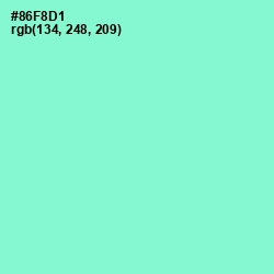 #86F8D1 - Riptide Color Image