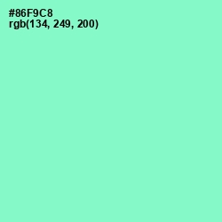 #86F9C8 - Riptide Color Image