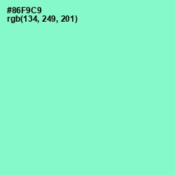 #86F9C9 - Riptide Color Image