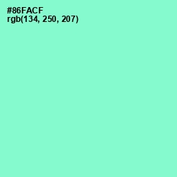 #86FACF - Riptide Color Image