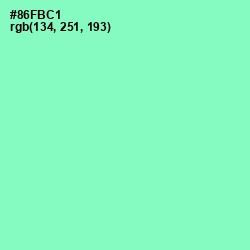 #86FBC1 - Riptide Color Image