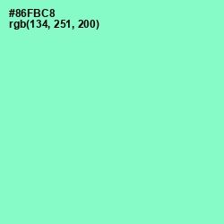 #86FBC8 - Riptide Color Image