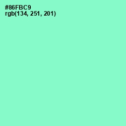 #86FBC9 - Riptide Color Image