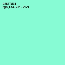 #86FBD4 - Riptide Color Image