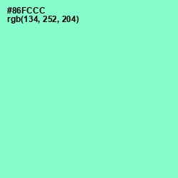 #86FCCC - Riptide Color Image