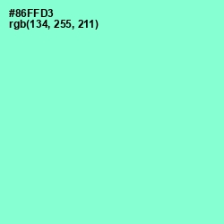 #86FFD3 - Riptide Color Image