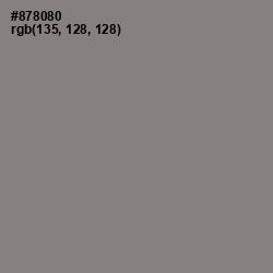 #878080 - Gray Color Image
