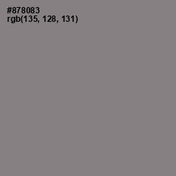 #878083 - Gray Color Image