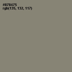 #878475 - Bandicoot Color Image