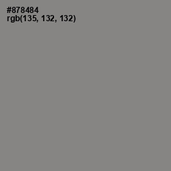 #878484 - Gunsmoke Color Image