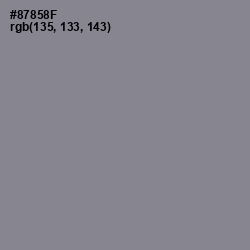 #87858F - Monsoon Color Image