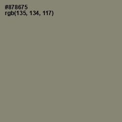 #878675 - Bandicoot Color Image