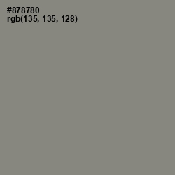 #878780 - Gunsmoke Color Image