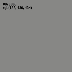 #878886 - Suva Gray Color Image