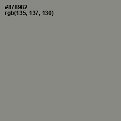 #878982 - Natural Gray Color Image