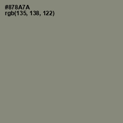 #878A7A - Bitter Color Image