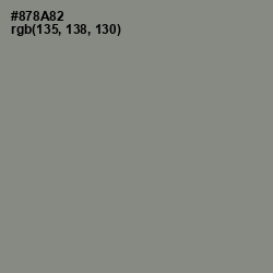 #878A82 - Natural Gray Color Image