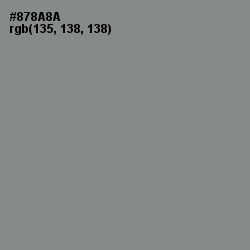 #878A8A - Stack Color Image