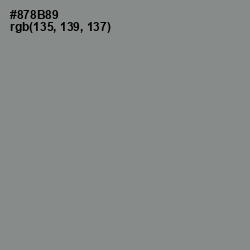 #878B89 - Stack Color Image