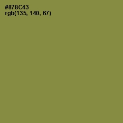 #878C43 - Clay Creek Color Image