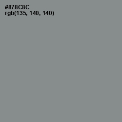 #878C8C - Stack Color Image