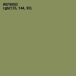 #87905D - Avocado Color Image