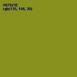 #87921E - Hacienda Color Image