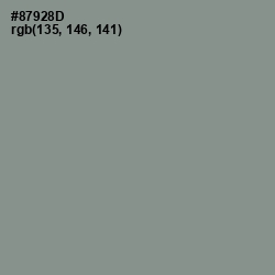 #87928D - Spanish Green Color Image