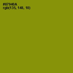 #87940A - Olive Color Image