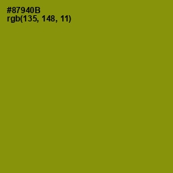 #87940B - Olive Color Image