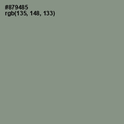 #879485 - Spanish Green Color Image