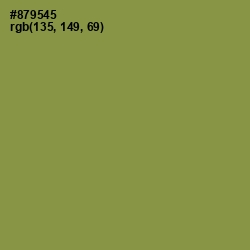 #879545 - Chelsea Cucumber Color Image