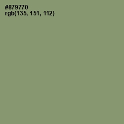 #879770 - Battleship Gray Color Image