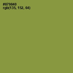 #879840 - Chelsea Cucumber Color Image