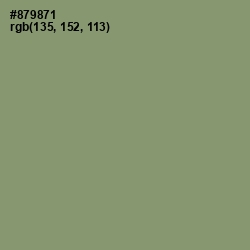 #879871 - Battleship Gray Color Image
