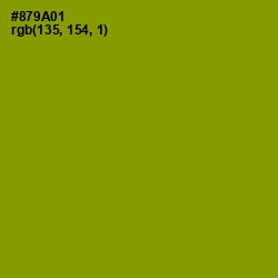 #879A01 - Olive Color Image