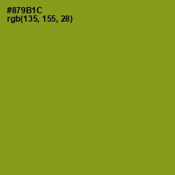 #879B1C - Hacienda Color Image