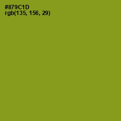 #879C1D - Hacienda Color Image