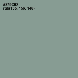 #879C92 - Mantle Color Image