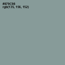 #879C98 - Mantle Color Image