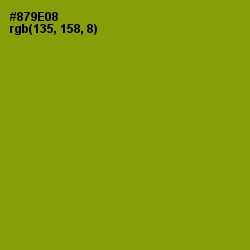 #879E08 - Olive Color Image