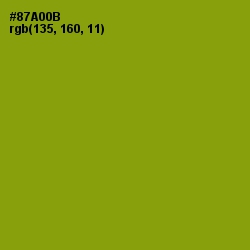 #87A00B - Citron Color Image