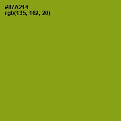 #87A214 - Citron Color Image