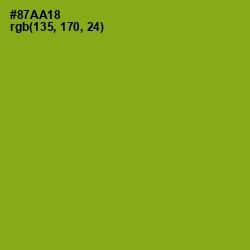 #87AA18 - Citron Color Image