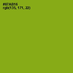 #87AB16 - Citron Color Image