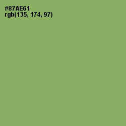 #87AE61 - Olivine Color Image