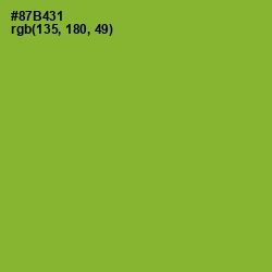 #87B431 - Sushi Color Image